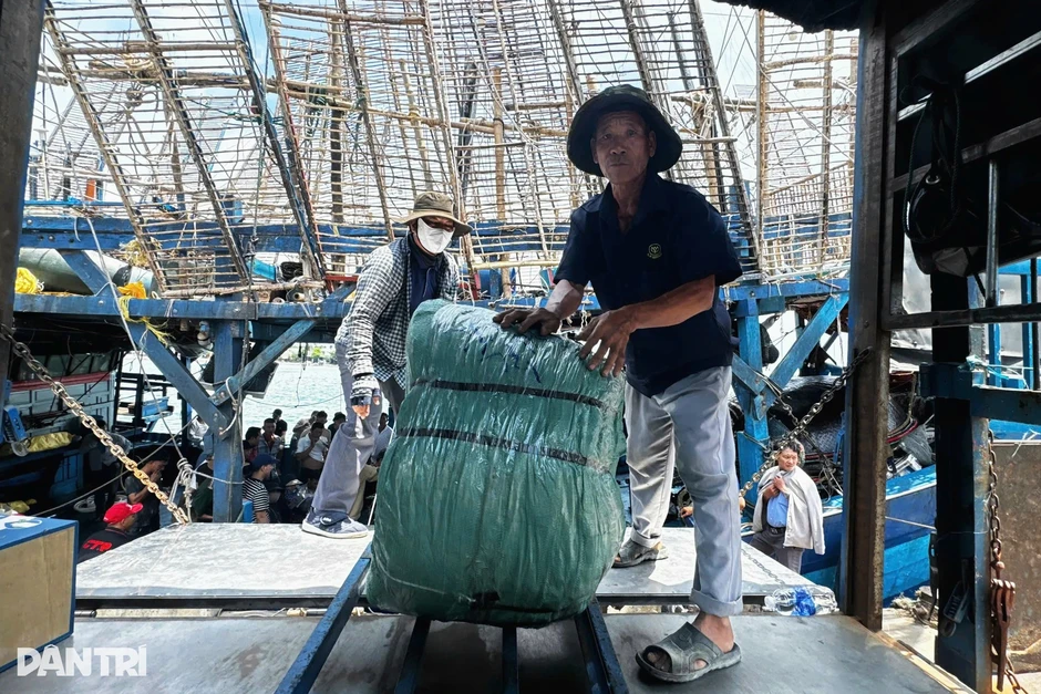 “Tàu sân bay” từ Trường Sa hối hả về bờ, ngư dân kiếm hàng trăm triệu đồng