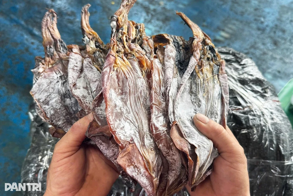 “Tàu sân bay” từ Trường Sa hối hả về bờ, ngư dân kiếm hàng trăm triệu đồng