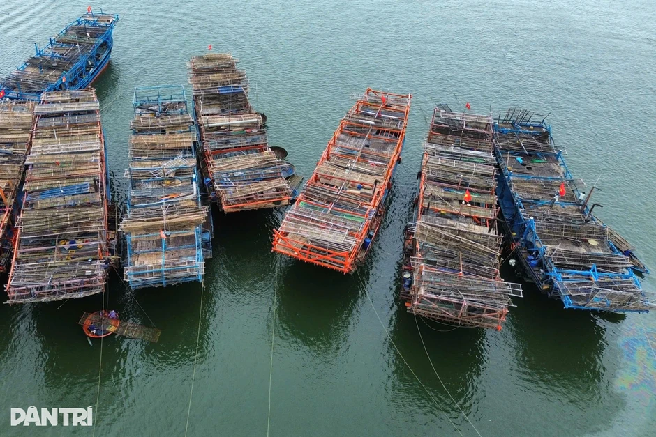 “Tàu sân bay” từ Trường Sa hối hả về bờ, ngư dân kiếm hàng trăm triệu đồng