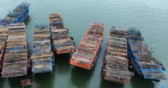 “Tàu sân bay” từ Trường Sa hối hả về bờ, ngư dân kiếm hàng trăm triệu đồng