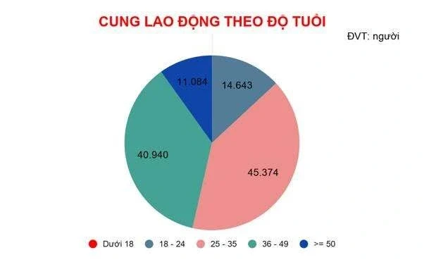 11.000 lao động lớn tuổi tìm việc, doanh nghiệp chỉ tuyển 79 người 11.000 lao động lớn tuổi tìm việc, doanh nghiệp chỉ tuyển 79 người