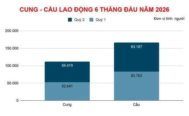 11.000 lao động lớn tuổi tìm việc, doanh nghiệp chỉ tuyển 79 người 11.000 lao động lớn tuổi tìm việc, doanh nghiệp chỉ tuyển 79 người