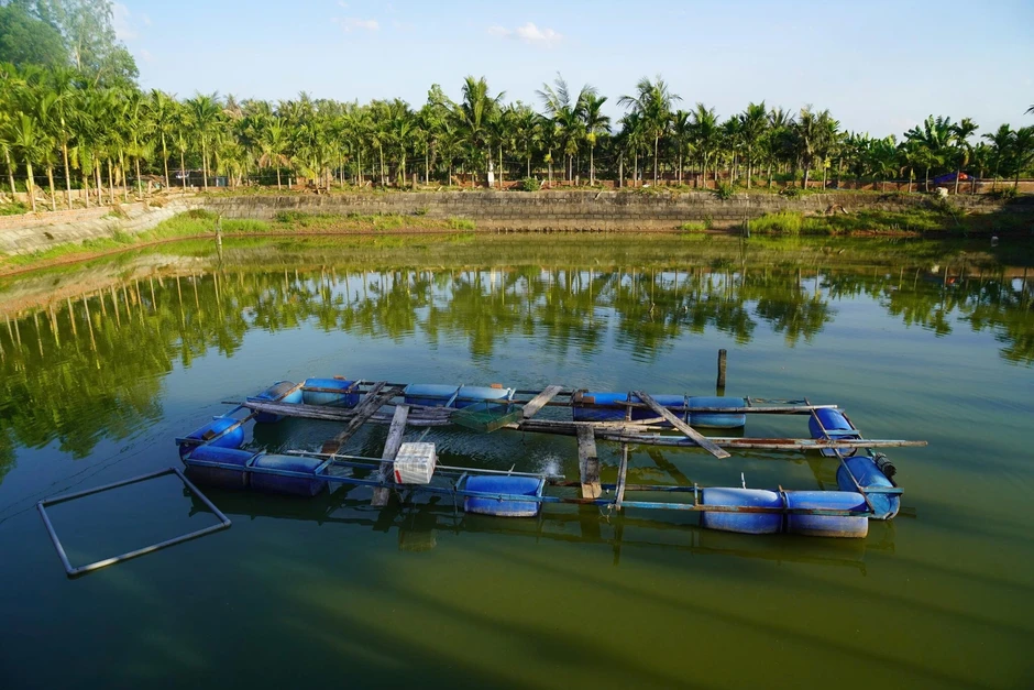 30 năm đếm thất bại chờ thành công với loài cá sinh ở biển, lớn trong đầm 30 năm đếm thất bại chờ thành công với loài cá sinh ở biển, lớn trong đầm