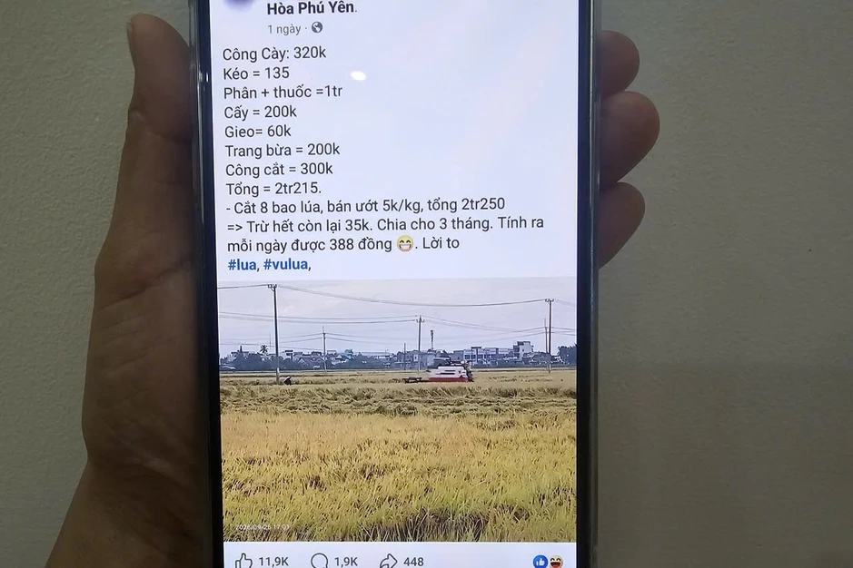 Anh nông dân chia sẻ vụ lúa lãi… 35.000 đồng, 2,5 triệu người xem khóc ròng Anh nông dân chia sẻ vụ lúa lãi… 35.000 đồng, 2,5 triệu người xem khóc ròng