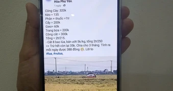Anh nông dân chia sẻ vụ lúa lãi… 35.000 đồng, 2,5 triệu người xem khóc ròng