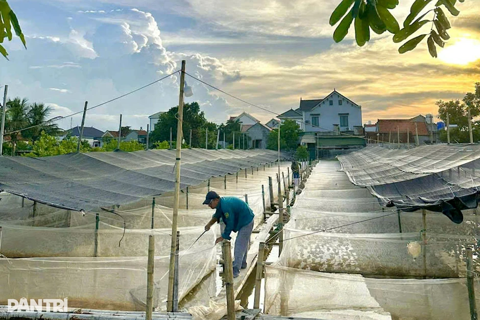 Anh thợ điện làm chủ trang trại, nếm trải thất bại để thành triệu phú Anh thợ điện làm chủ trang trại, nếm trải thất bại để thành triệu phú