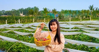 Bà chủ vườn thu tiền triệu mỗi ngày nhờ cách bán hàng “3 không”