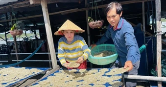Bánh tráng cá cơm “hái ra tiền” ở làng chài giữa cao nguyên