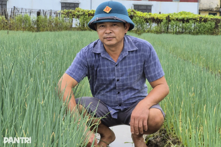 Bí quyết không cho đất nghỉ giúp nông dân kiếm tiền quanh năm Bí quyết không cho đất nghỉ giúp nông dân kiếm tiền quanh năm