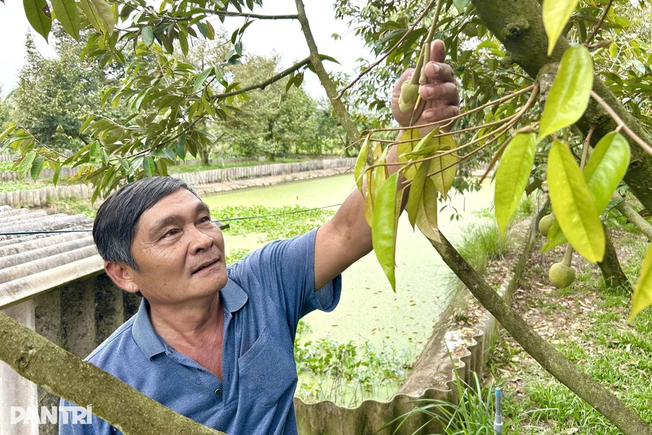 Bí quyết "không sợ rớt giá" của người nông dân Cần Thơ