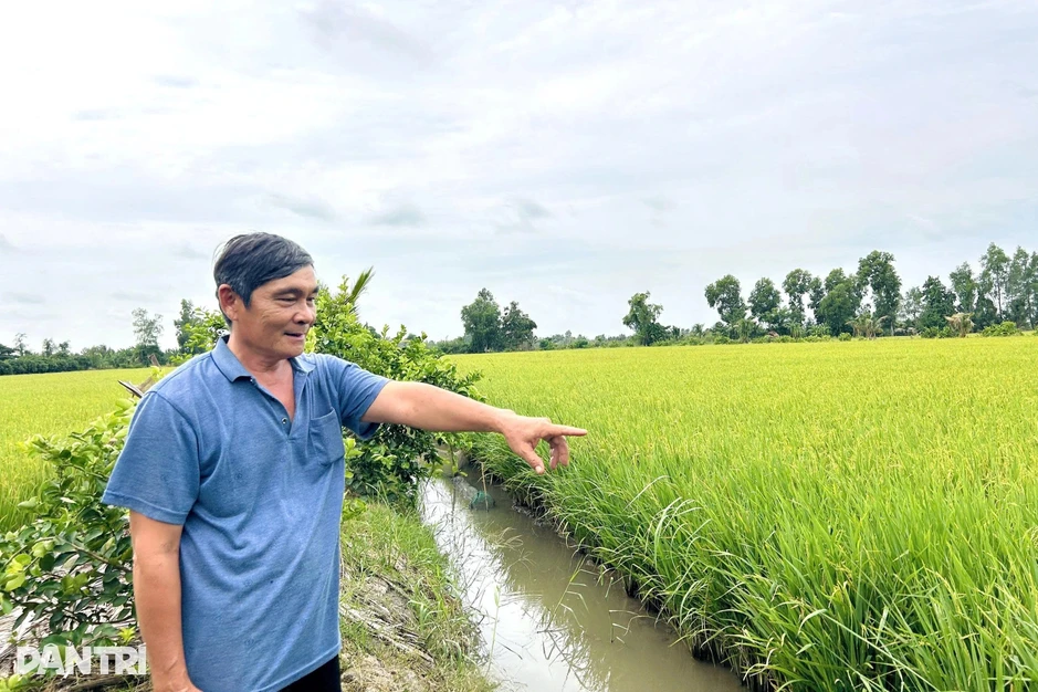 Bí quyết "không sợ rớt giá" của người nông dân Cần Thơ