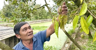 Bí quyết "không sợ rớt giá" của người nông dân Cần Thơ