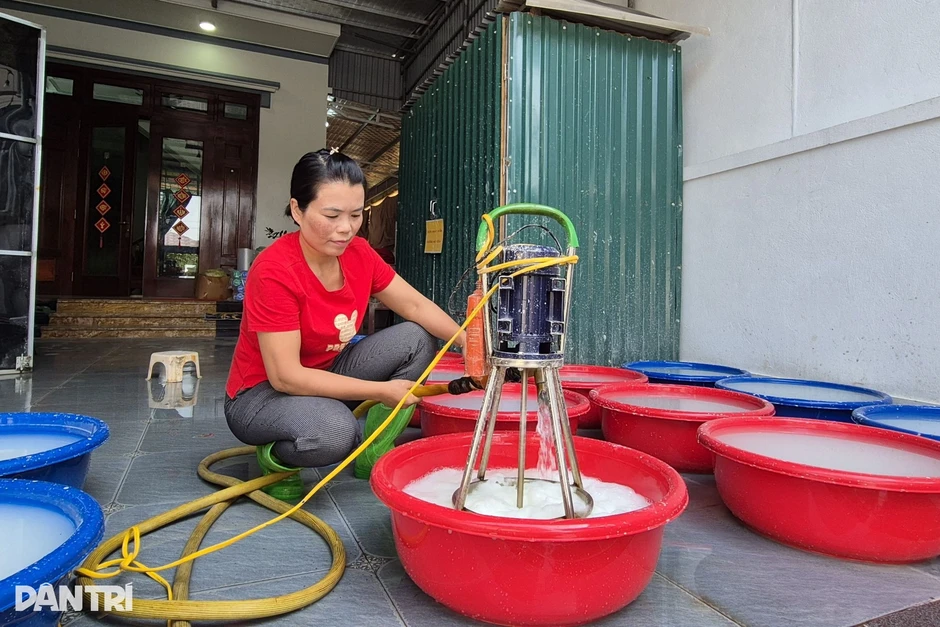 Biến cây mọc dại thành “vàng trắng”, nông dân kiếm bộn tiền