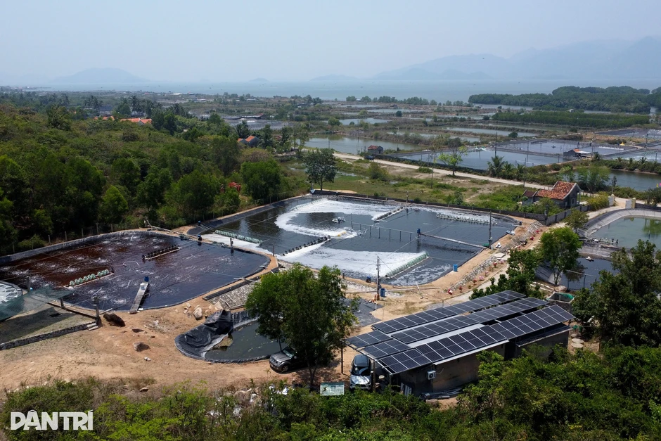 Biến phế liệu thành hệ thống tiết kiệm hơn nửa tỷ đồng tiền điện mỗi năm Biến phế liệu thành hệ thống tiết kiệm hơn nửa tỷ đồng tiền điện mỗi năm