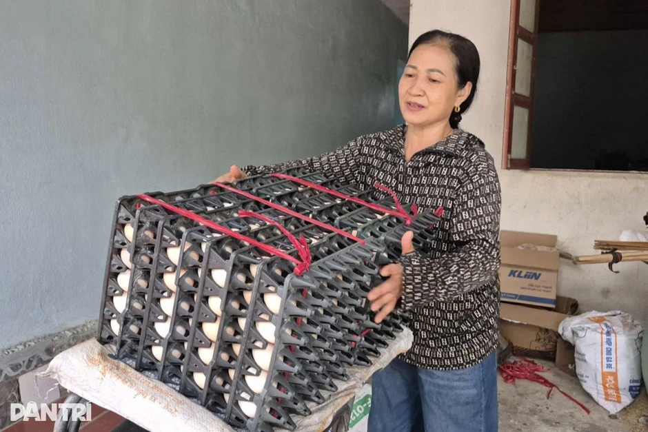 Bỏ nghề giáo về chăn nuôi, thu gần 8 triệu đồng/ngày nhờ "cỗ máy nhả vàng" Bỏ nghề giáo về chăn nuôi, thu gần 8 triệu đồng/ngày nhờ "cỗ máy nhả vàng"