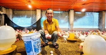 Bỏ nghề giáo về chăn nuôi, thu gần 8 triệu đồng/ngày nhờ "cỗ máy nhả vàng"