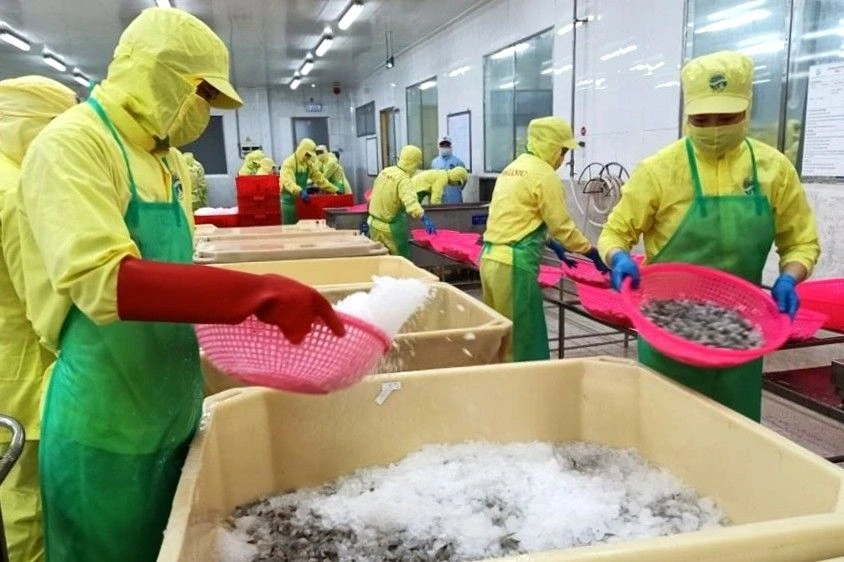 Cà Mau dự báo nhu cầu lao động, nhân lực chất lượng cao Cà Mau dự báo nhu cầu lao động, nhân lực chất lượng cao