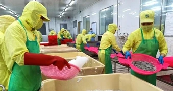 Cà Mau dự báo nhu cầu lao động, nhân lực chất lượng cao