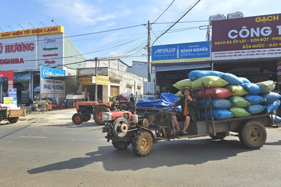 Cà phê chạm mốc 100.000 đồng/kg, nông dân hồ hởi chở từng công nông đi bán Cà phê chạm mốc 100.000 đồng/kg, nông dân hồ hởi chở từng công nông đi bán