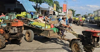 Cà phê chạm mốc 100.000 đồng/kg, nông dân hồ hởi chở từng công nông đi bán