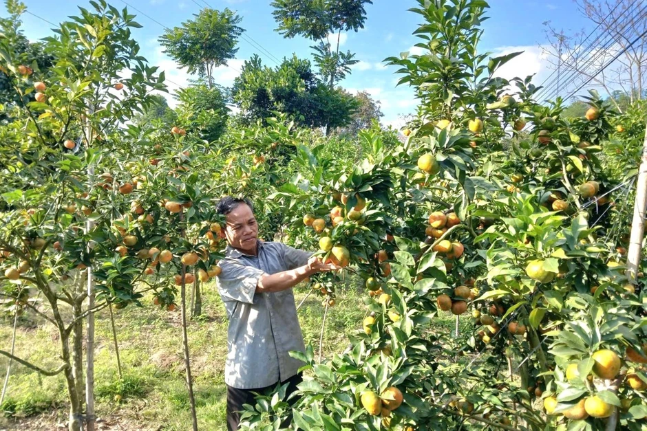 Cái kết của người đàn ông dám làm "trái lời vợ"