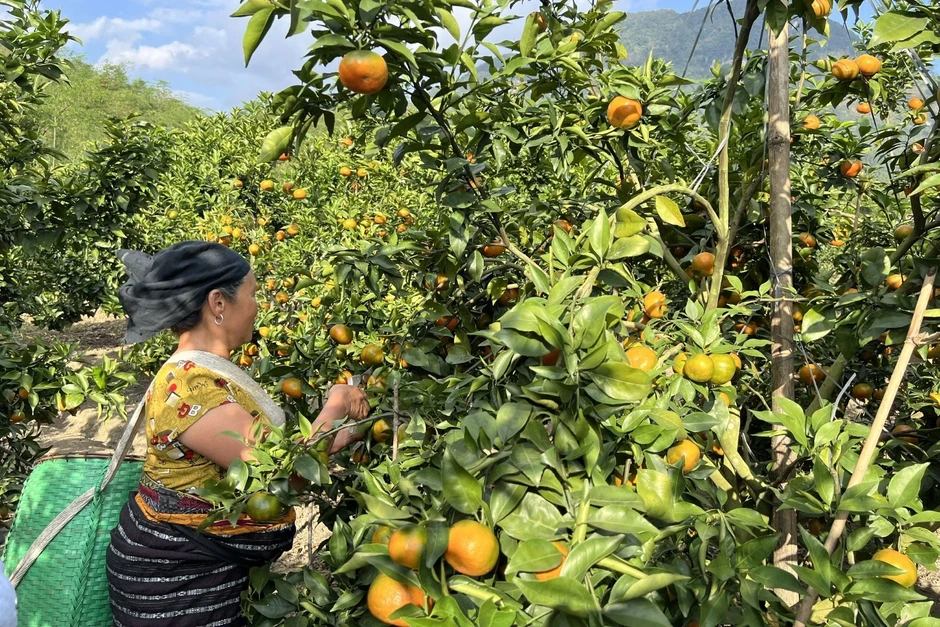 Cái kết của người đàn ông dám làm "trái lời vợ"