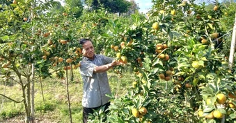 Cái kết của người đàn ông dám làm "trái lời vợ"
