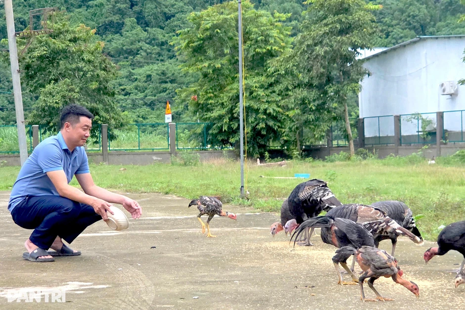 Cán bộ xa nhà cùng làm vườn, nuôi gà cải thiện bữa ăn sau giờ hành chính