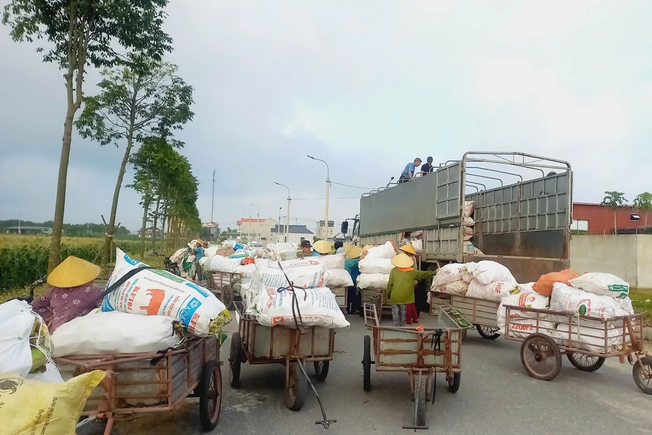 Canh tác 4 vụ/năm, nông dân không cho đất nghỉ, rủng rỉnh tiền tiêu