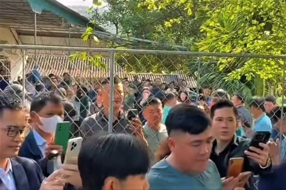 Cặp nhung hươu hiếm thấy hút người đến xem, chủ nuôi kiếm tiền tươi Cặp nhung hươu hiếm thấy hút người đến xem, chủ nuôi kiếm tiền tươi