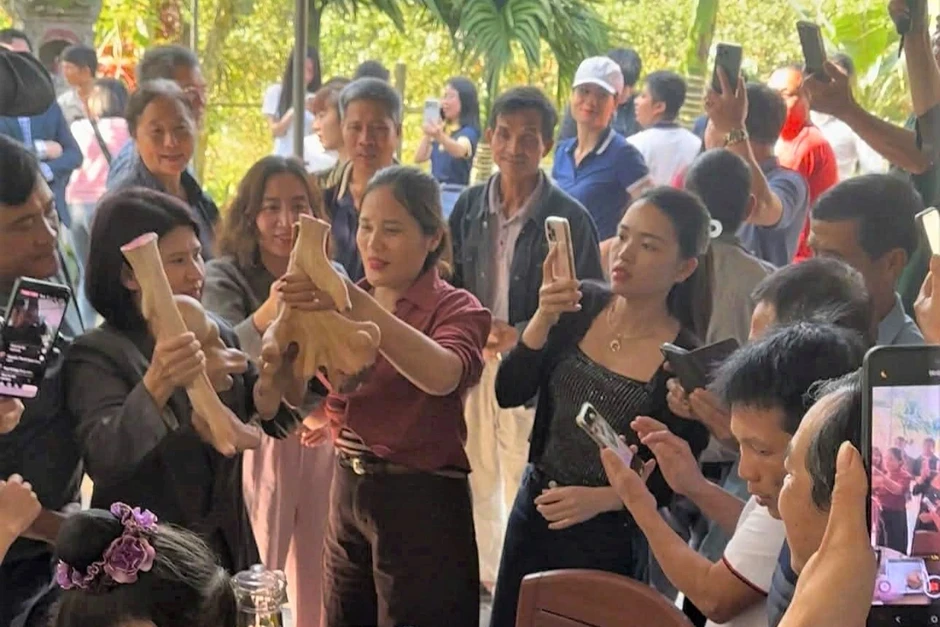 Cặp nhung hươu hiếm thấy hút người đến xem, chủ nuôi kiếm tiền tươi Cặp nhung hươu hiếm thấy hút người đến xem, chủ nuôi kiếm tiền tươi