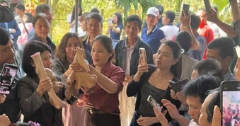 Cặp nhung hươu hiếm thấy hút người đến xem, chủ nuôi kiếm tiền tươi