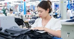 Chủ tịch UBND xã có quyền phạt đến 50 triệu đồng hành vi vi phạm lao động