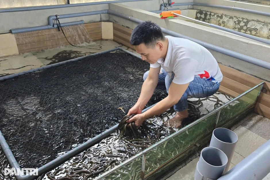 Chủ xưởng may quyết định bỏ cơ nghiệp ở phố về quê gây dựng lại Chủ xưởng may quyết định bỏ cơ nghiệp ở phố về quê gây dựng lại