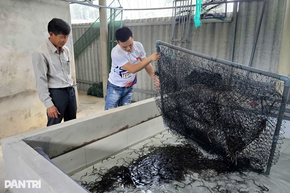 Chủ xưởng may quyết định bỏ cơ nghiệp ở phố về quê gây dựng lại Chủ xưởng may quyết định bỏ cơ nghiệp ở phố về quê gây dựng lại