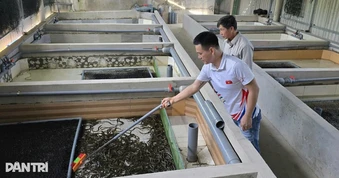 Chủ xưởng may quyết định bỏ cơ nghiệp ở phố về quê gây dựng lại