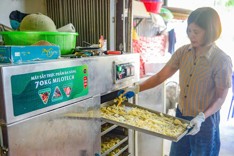 Củ rừng cứu đói nay giúp người vùng cao kiếm nửa triệu đồng mỗi ngày Củ rừng cứu đói nay giúp người vùng cao kiếm nửa triệu đồng mỗi ngày