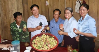 Đào núi nơi biên giới được mùa chưa từng thấy, người trồng vẫn nơm nớp lo
