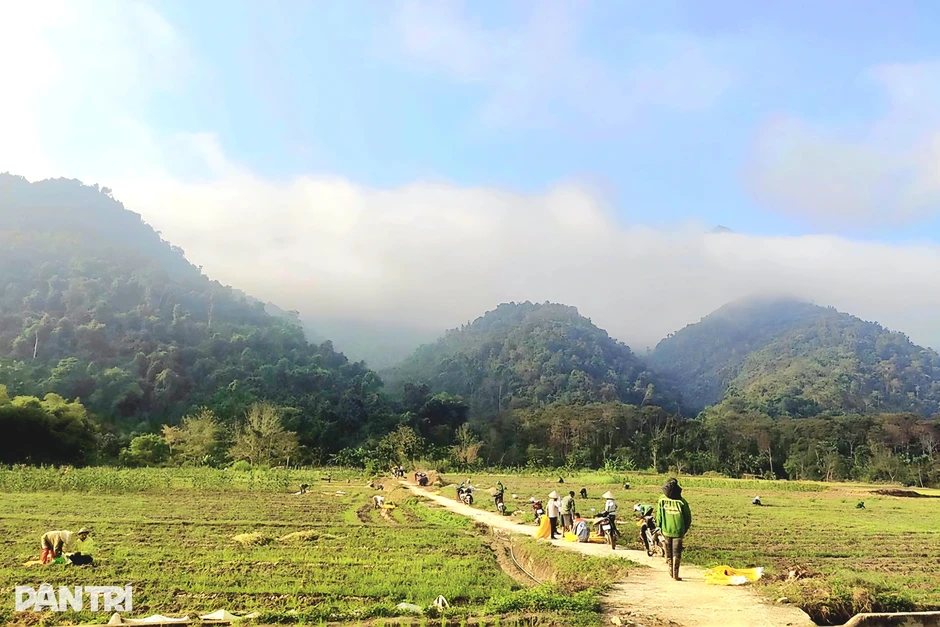 Đưa khoai tây Mỹ lên núi, nông dân thu tiền triệu mỗi sào Đưa khoai tây Mỹ lên núi, nông dân thu tiền triệu mỗi sào