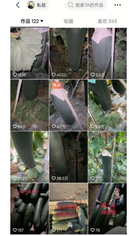 Hành nghề “gõ dưa giữa đêm”, kiếm hàng trăm triệu đồng mỗi tháng Hành nghề “gõ dưa giữa đêm”, kiếm hàng trăm triệu đồng mỗi tháng