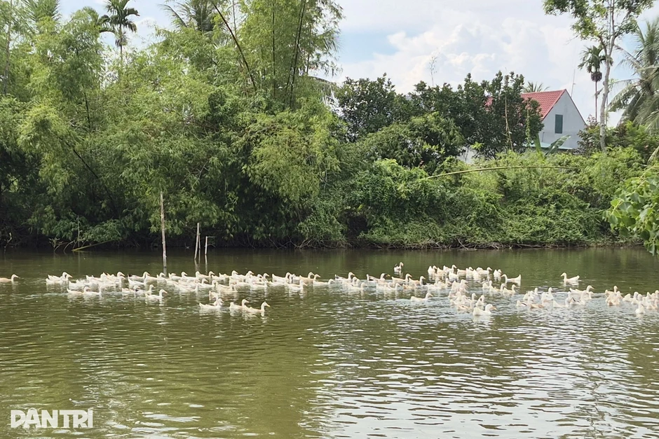 Hơn 20 năm bền bỉ trên vùng đất khó, vợ chồng nông dân thành triệu phú Hơn 20 năm bền bỉ trên vùng đất khó, vợ chồng nông dân thành triệu phú