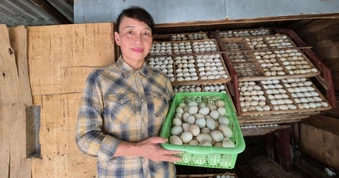 Hơn 20 năm bền bỉ trên vùng đất khó, vợ chồng nông dân thành triệu phú