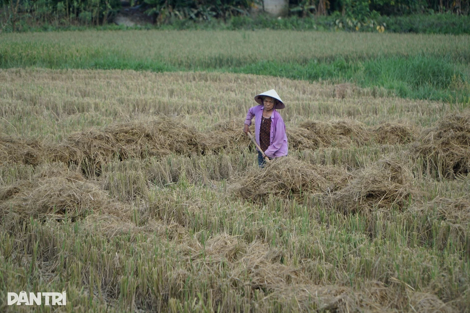 Kỹ sư biến thứ bỏ đi thành sản phẩm độc lạ bán sang Mỹ Kỹ sư biến thứ bỏ đi thành sản phẩm độc lạ bán sang Mỹ