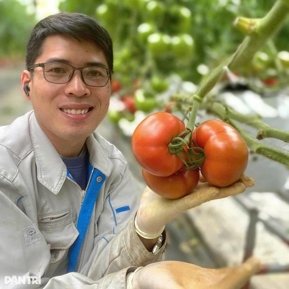 Kỹ sư xây dựng bỏ lương nghìn USD về quê trồng rau sạch Kỹ sư xây dựng bỏ lương nghìn USD về quê trồng rau sạch