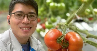 Kỹ sư xây dựng bỏ lương nghìn USD về quê trồng rau sạch