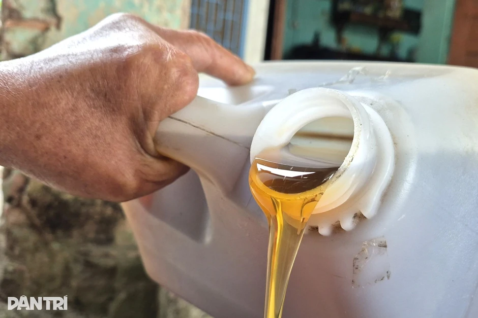 Khởi nghiệp với hơn 1 triệu đồng, lão nông lan tỏa mô hình làm giàu Khởi nghiệp với hơn 1 triệu đồng, lão nông lan tỏa mô hình làm giàu