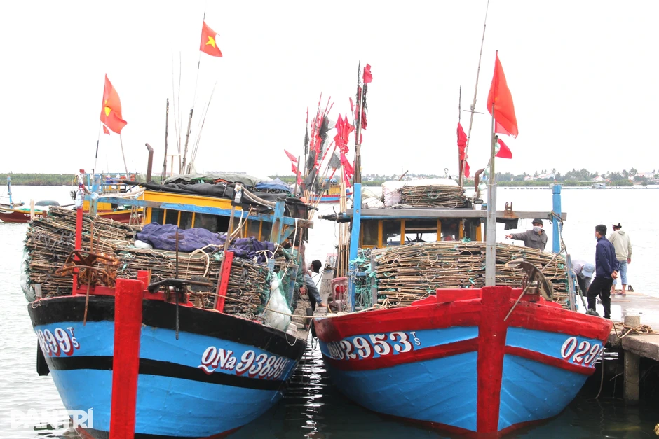 Không cho các tàu cá hoạt động nếu chuyển nhượng chưa hoàn thiện thủ tục Không cho các tàu cá hoạt động nếu chuyển nhượng chưa hoàn thiện thủ tục