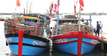 Không cho các tàu cá hoạt động nếu chuyển nhượng chưa hoàn thiện thủ tục
