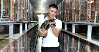 Không đi nước ngoài, chàng trai kiếm nửa tỷ đồng/năm từ đất quê vườn nhà