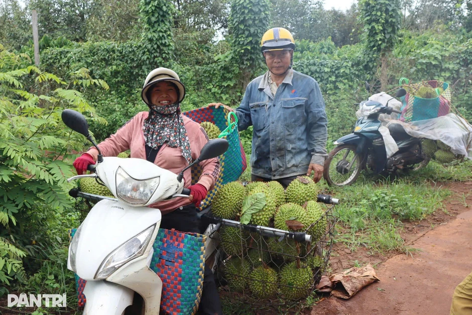 Kiếm tiền triệu mỗi ngày từ tiếng gõ dò "quả tỷ đô"
